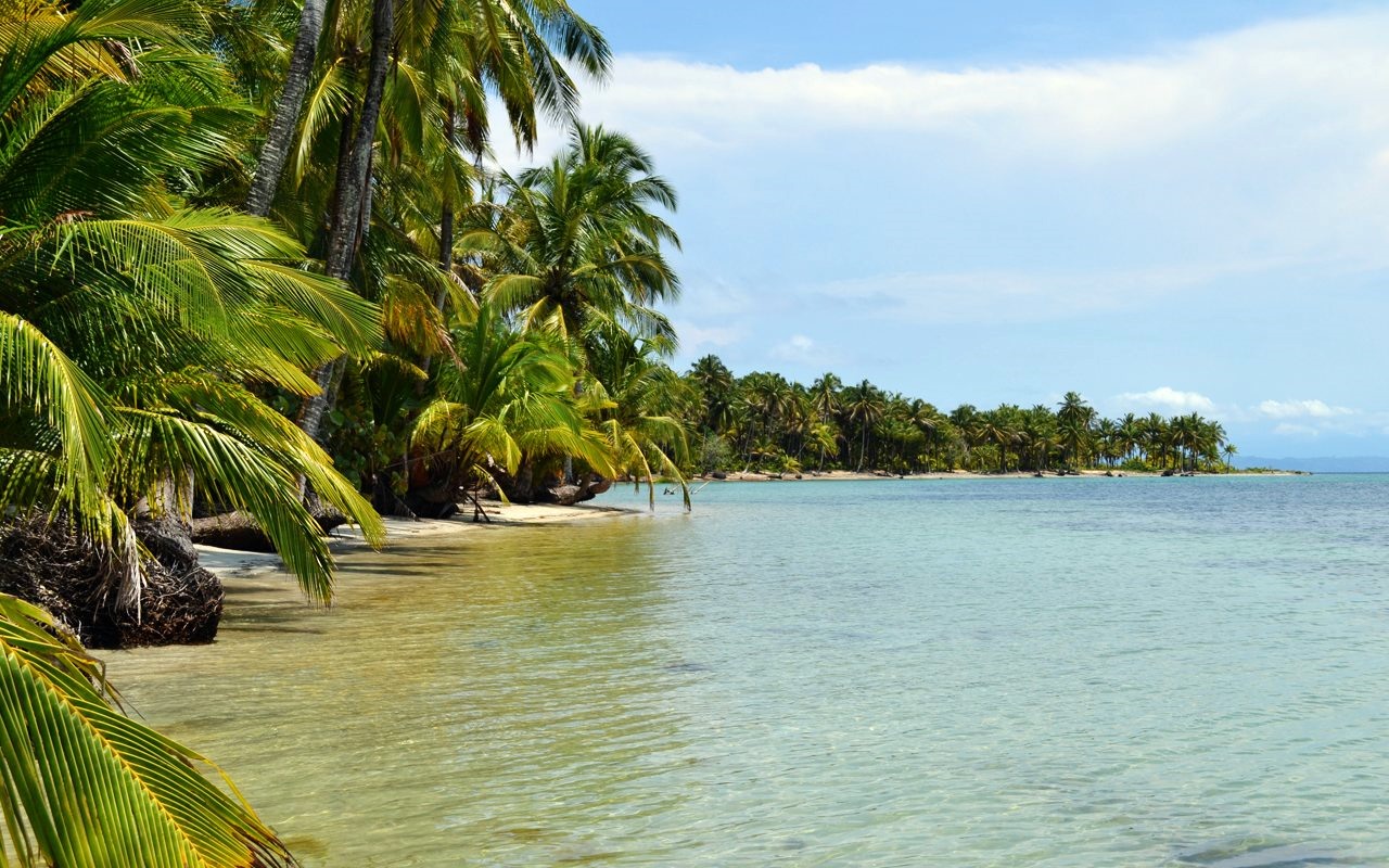 Bocas del Toro | LAT.40