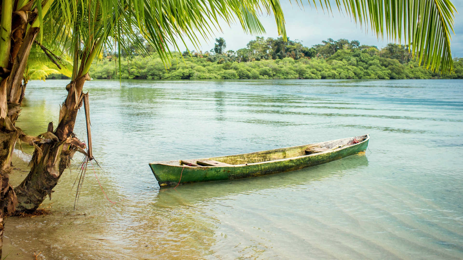 Bocas del Toro | LAT.40