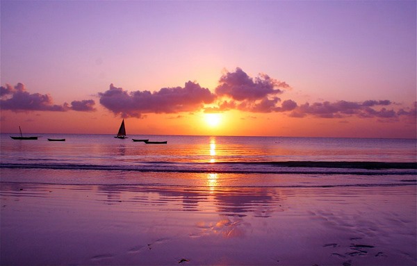 Diani Beach | LAT.40