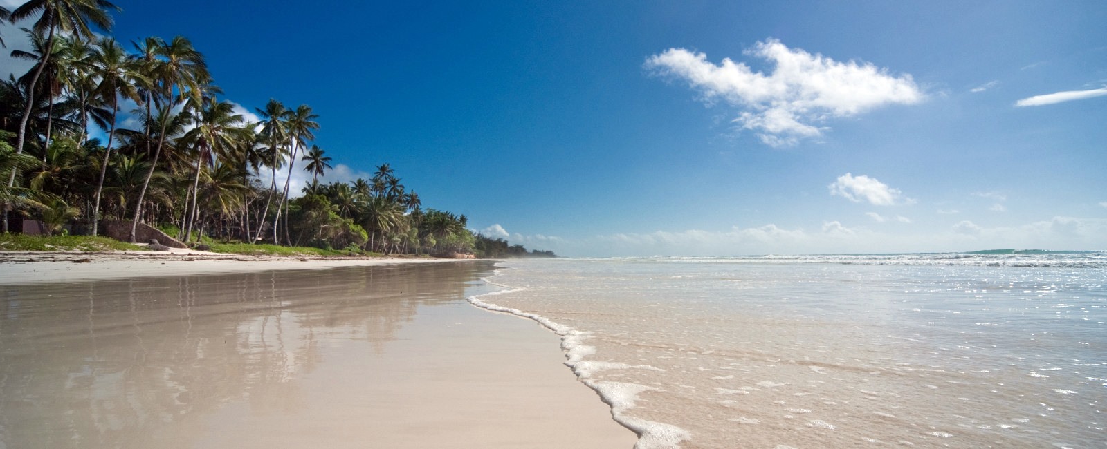 Diani Beach | LAT.40