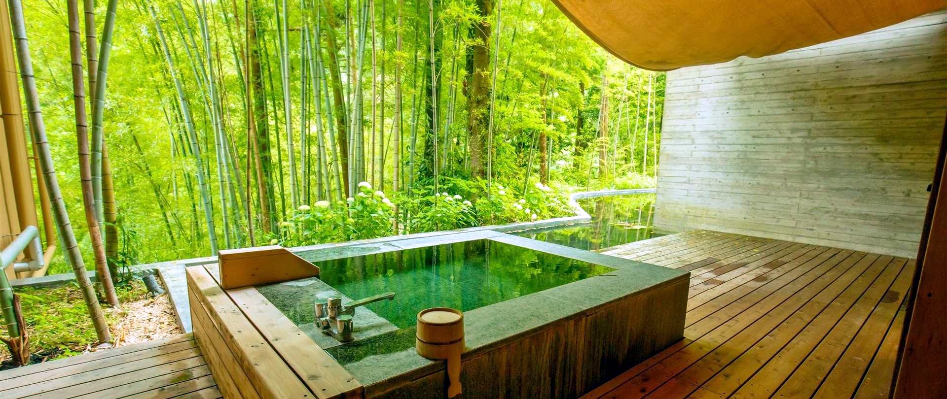 Kinnotake Tonosawa en Hakone