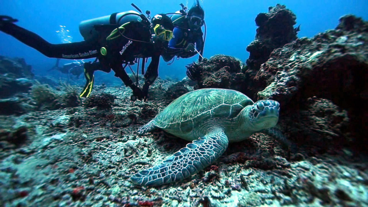 Island Hopping Gili Privado | LAT.40