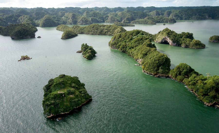 Las Galeras | LAT.40