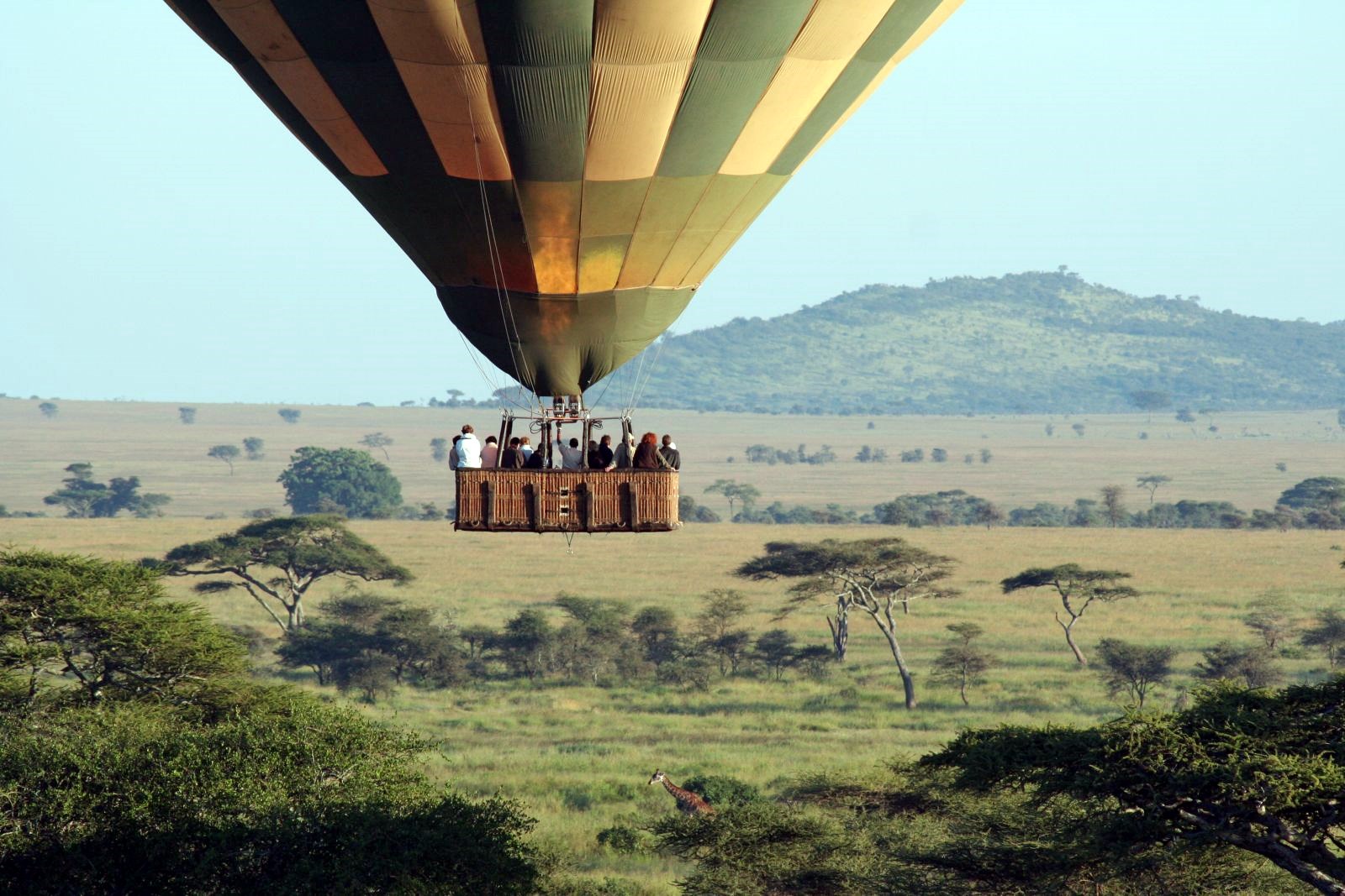 Masai Mara | LAT.40