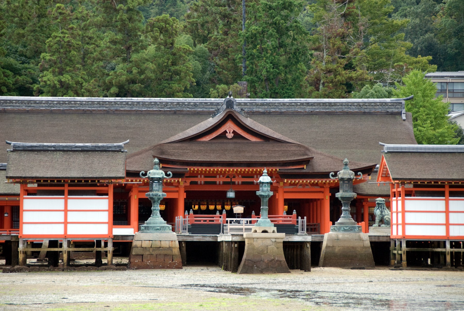 Miyajima | LAT.40