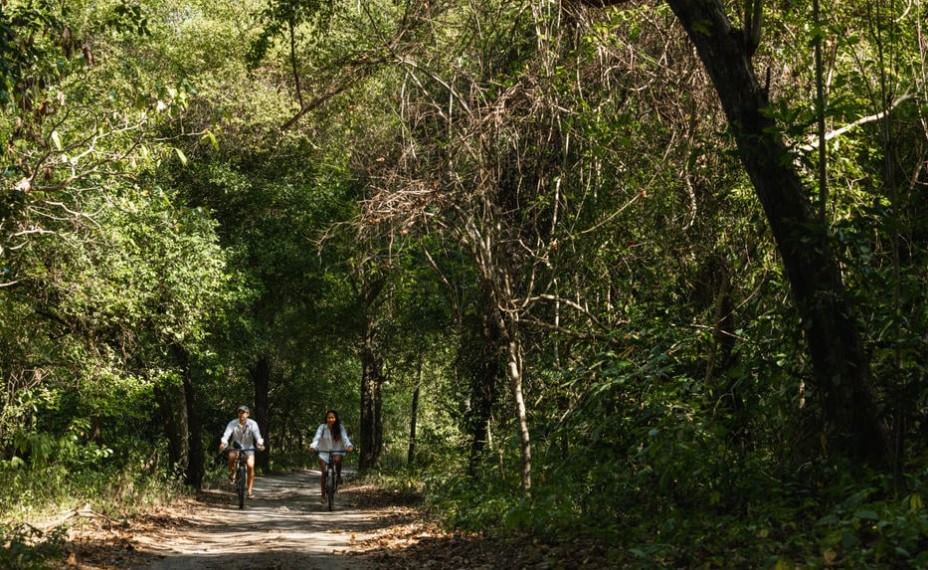 Luna de miel Borobudur, Ubud, Munduk y Amanwana diseñado por LAT.40