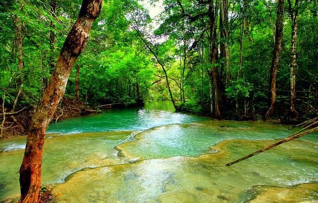 Moyo Island | LAT.40