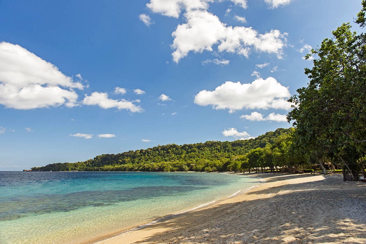 Moyo Island | LAT.40