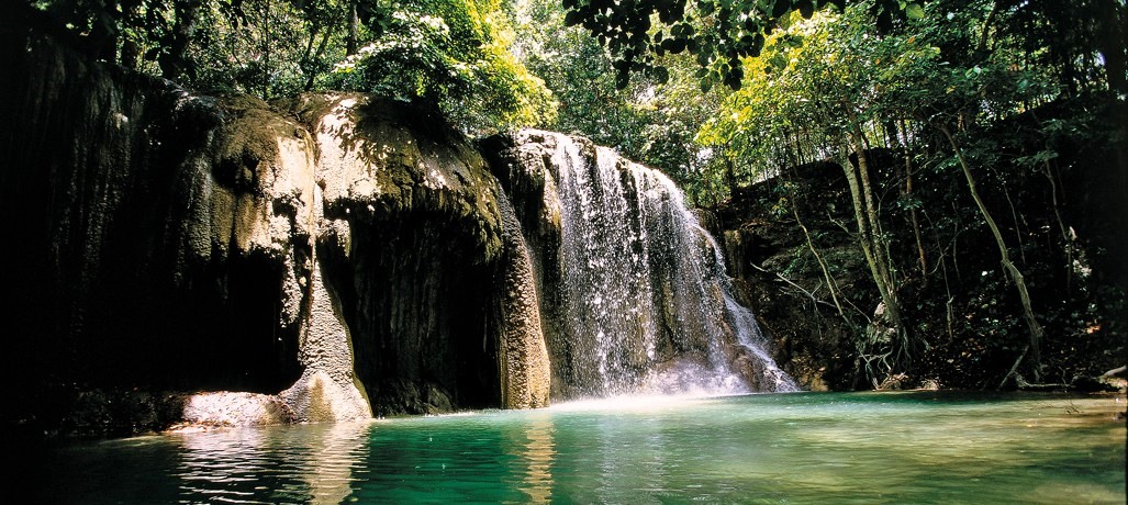 Moyo Island | LAT.40