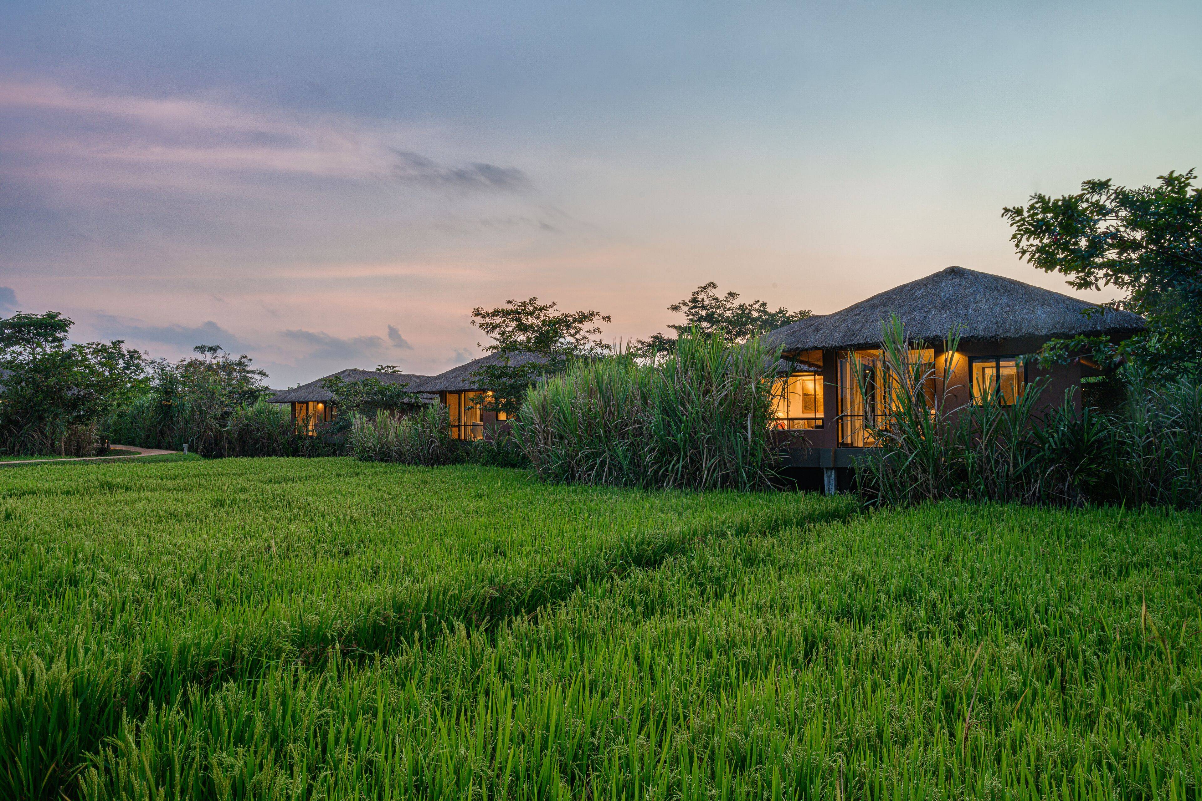 Water Garden Sigiriya en Sigiriya