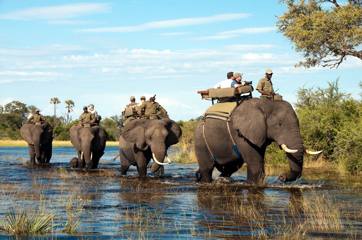 Victoria Falls | LAT.40