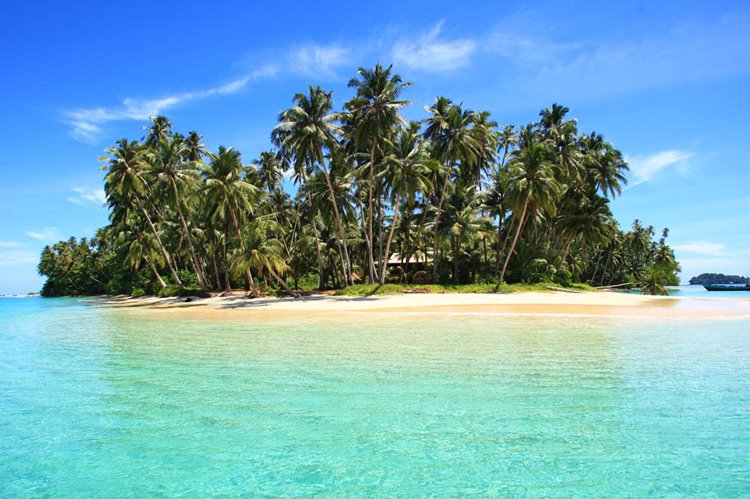 Islas Mentawai | LAT.40