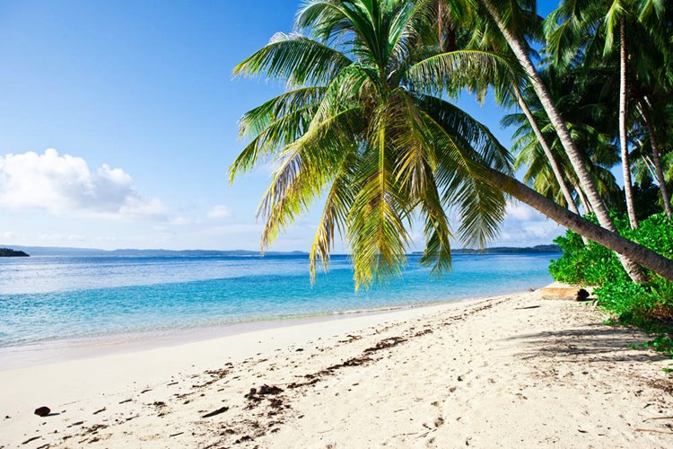 Islas Mentawai | LAT.40