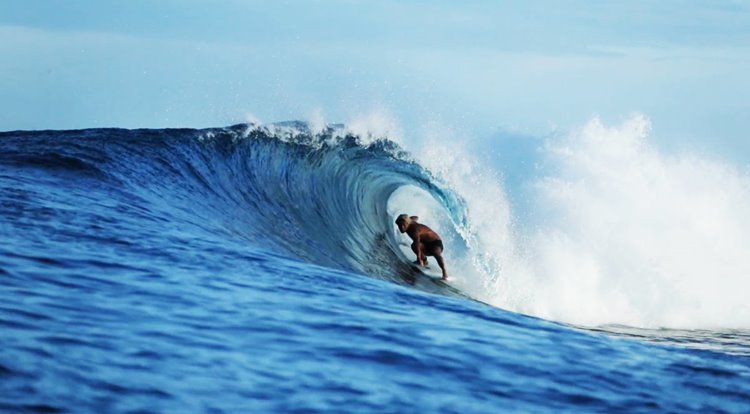 Islas Mentawai | LAT.40