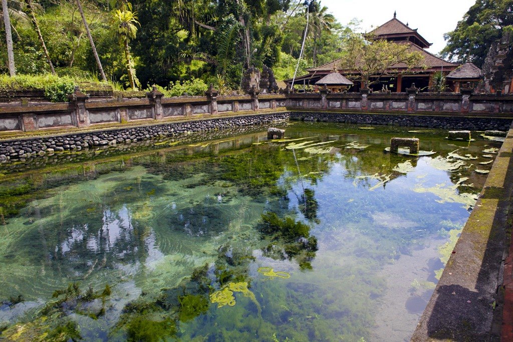 Ubud | LAT.40