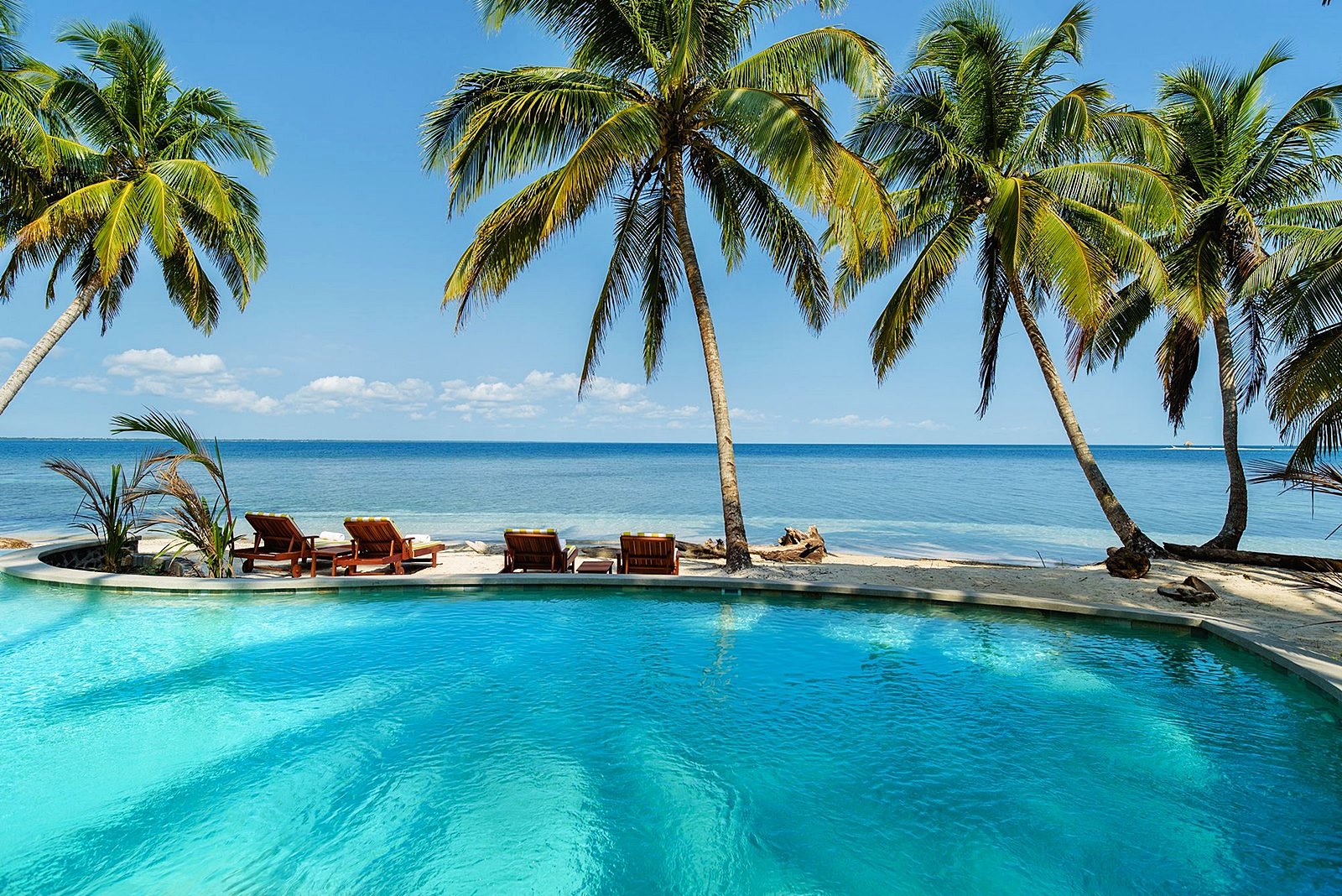 Calala Island | LAT.40