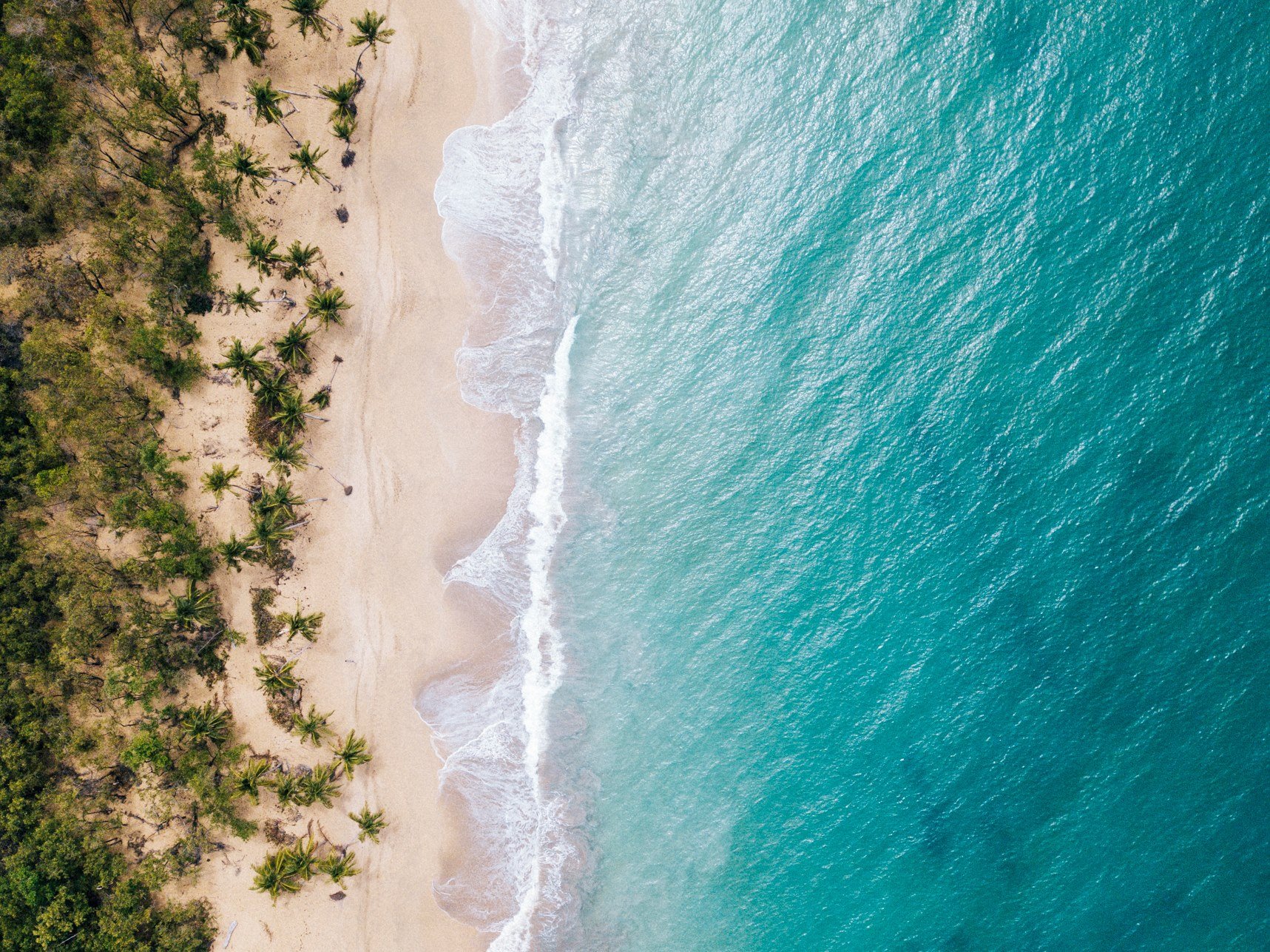 Club Med Miches Playa Esmeralda  en Dominican Republic