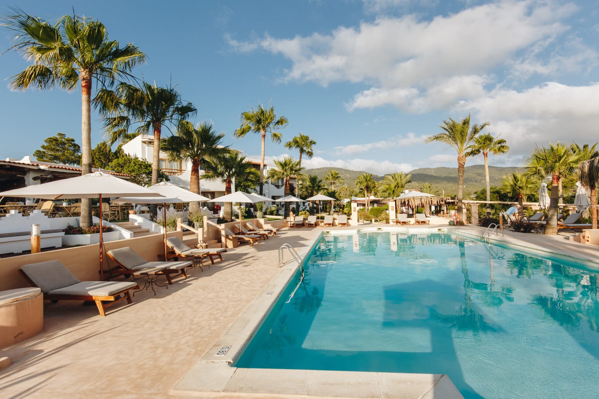 Petunia Ibiza en Ibiza