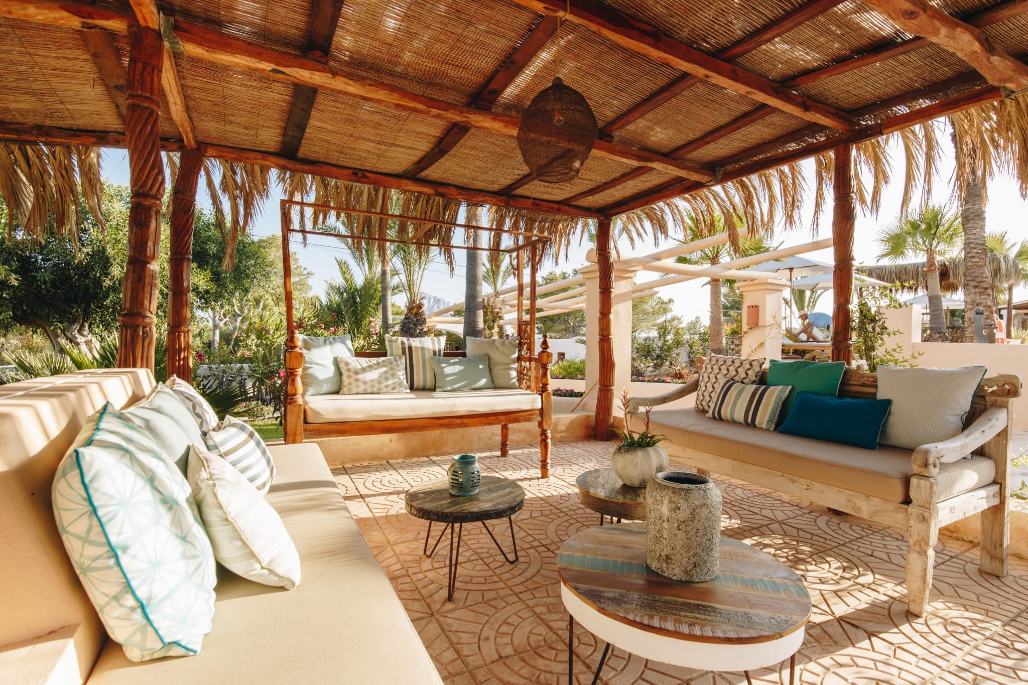 Petunia Ibiza en Ibiza