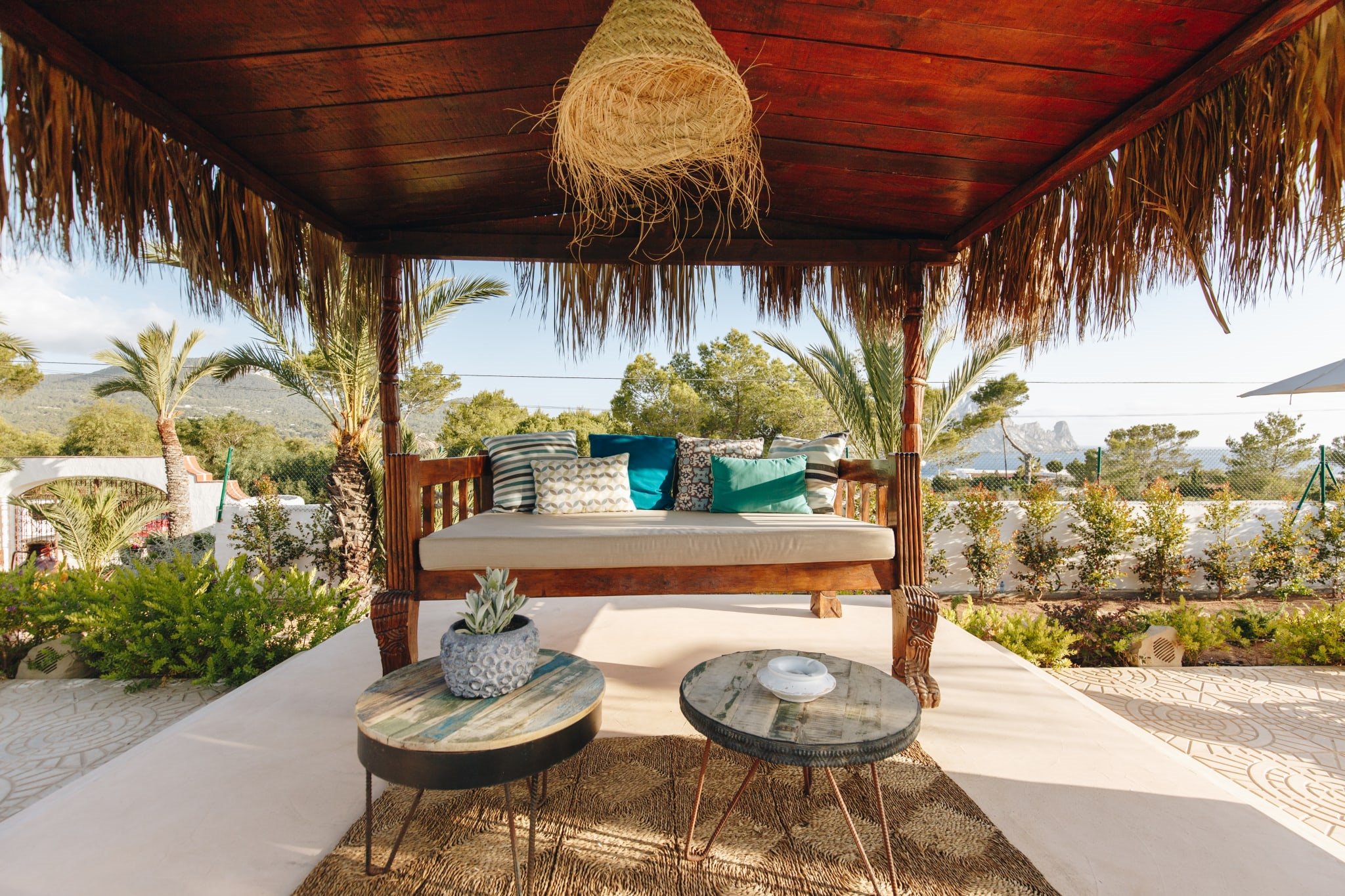 Petunia Ibiza en Ibiza