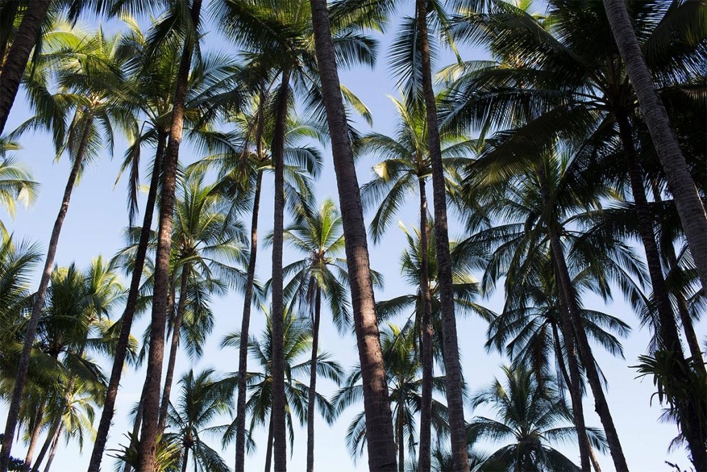 Islas Secas | LAT.40