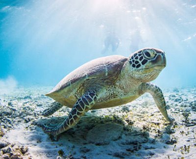 Islas Secas | LAT.40