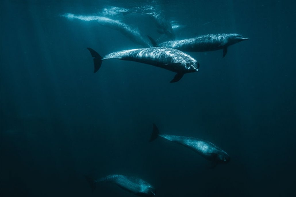 Islas Secas | LAT.40