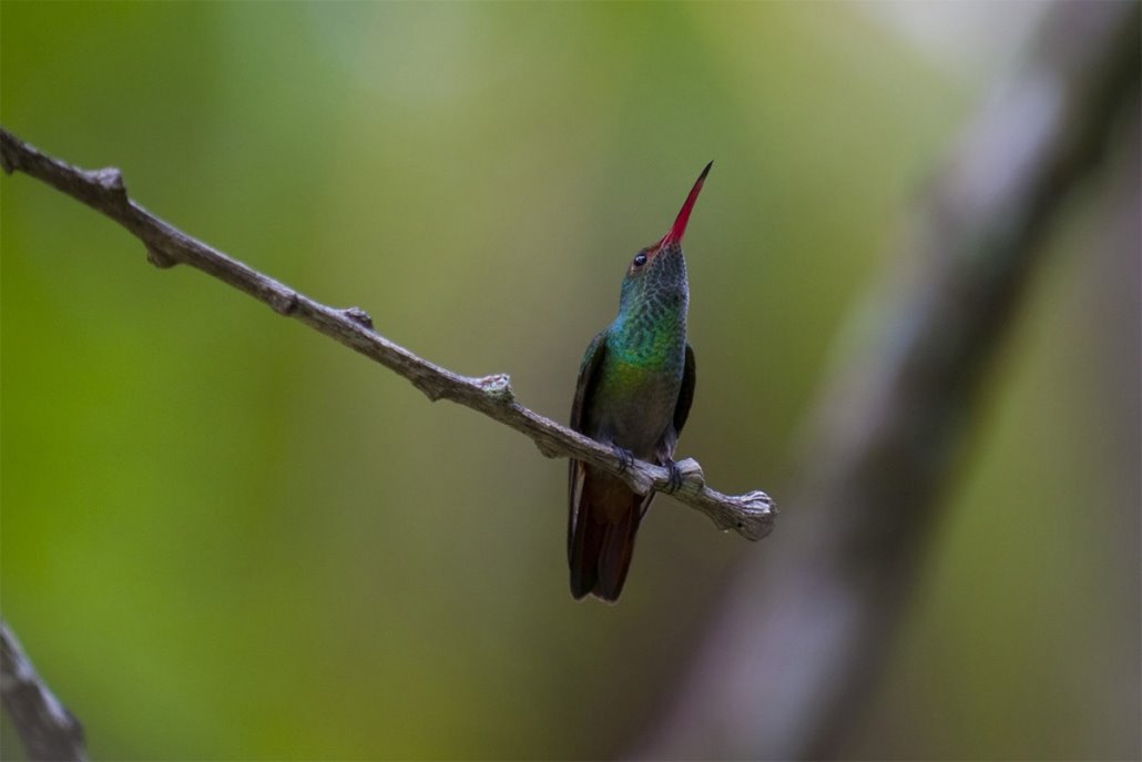 Islas Secas | LAT.40