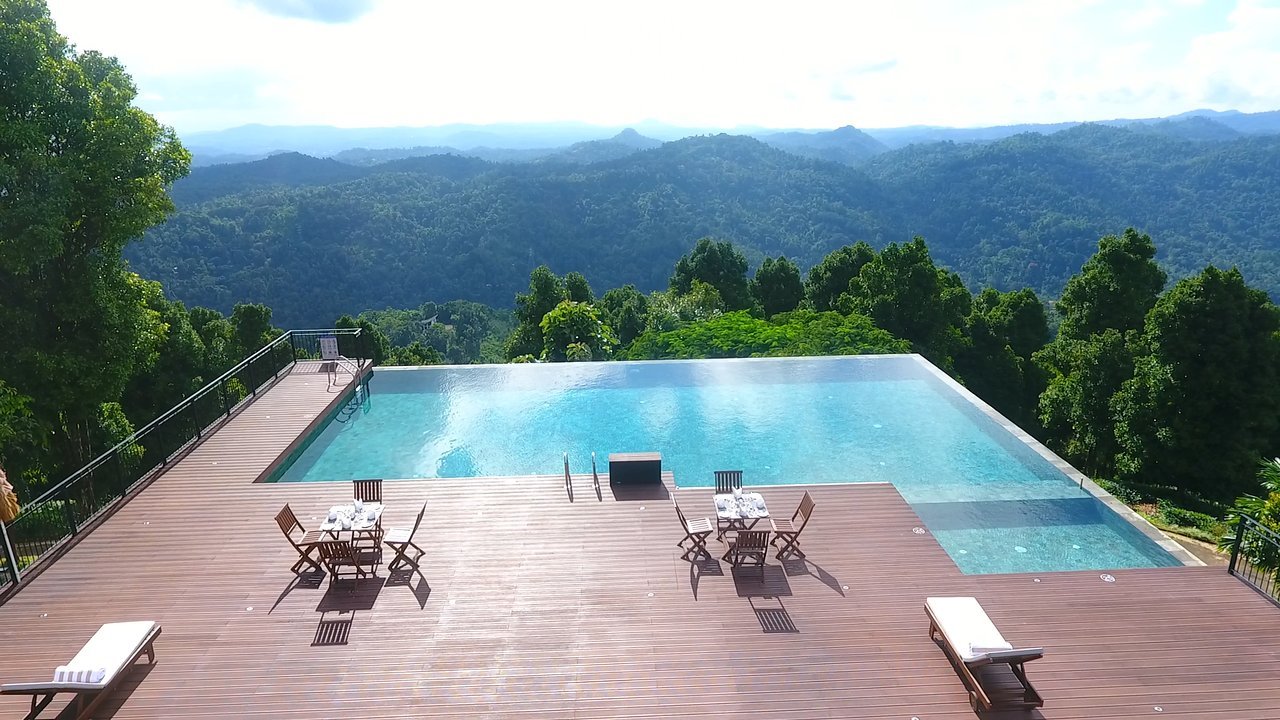 Simpson's Forest Hotel en su destino