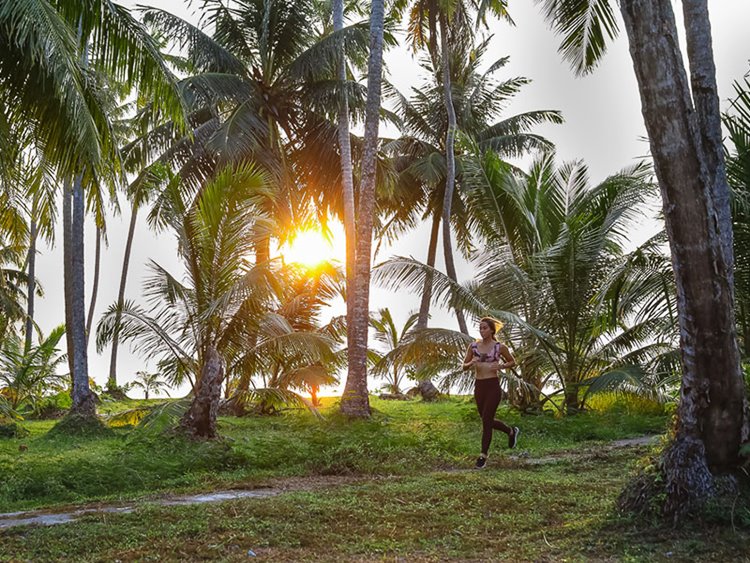 Macaronis Resort en Islas Mentawai