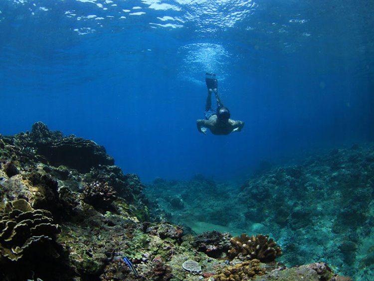 Macaronis Resort en Islas Mentawai