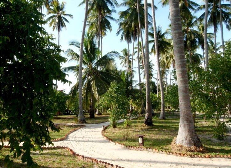 Nunukan Island Resort en Maratua