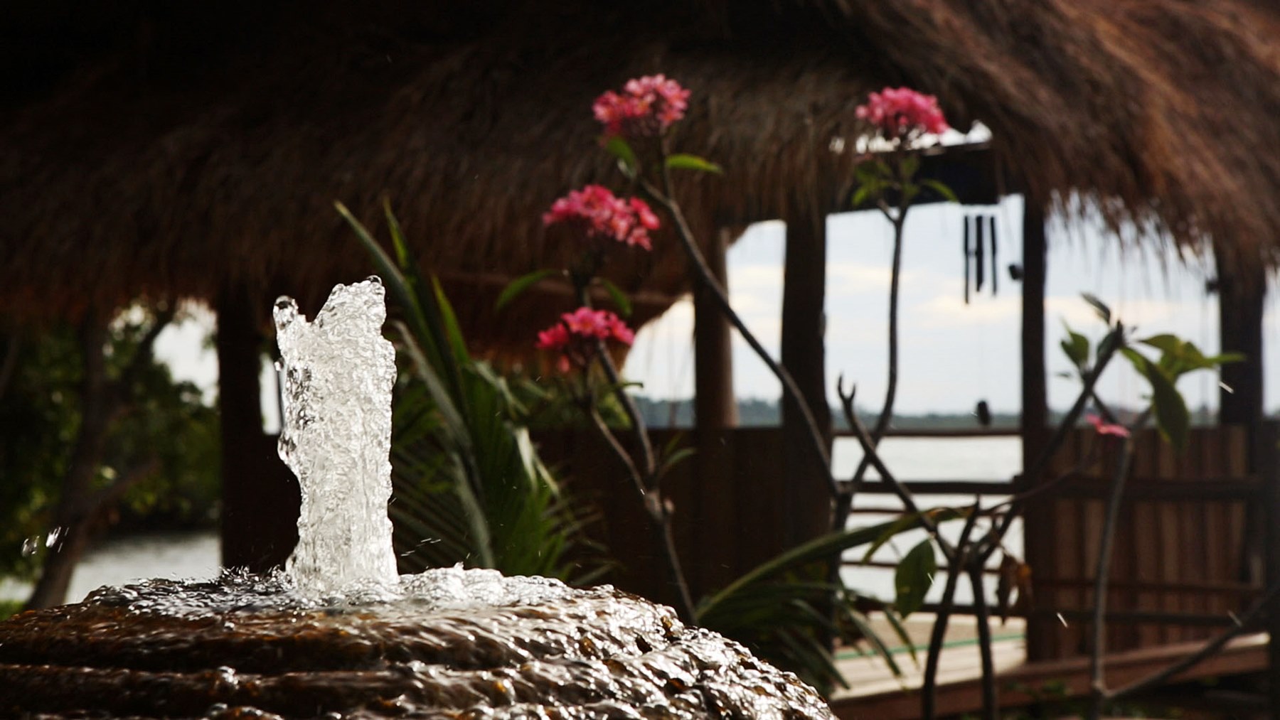 Pangkil Island | LAT.40