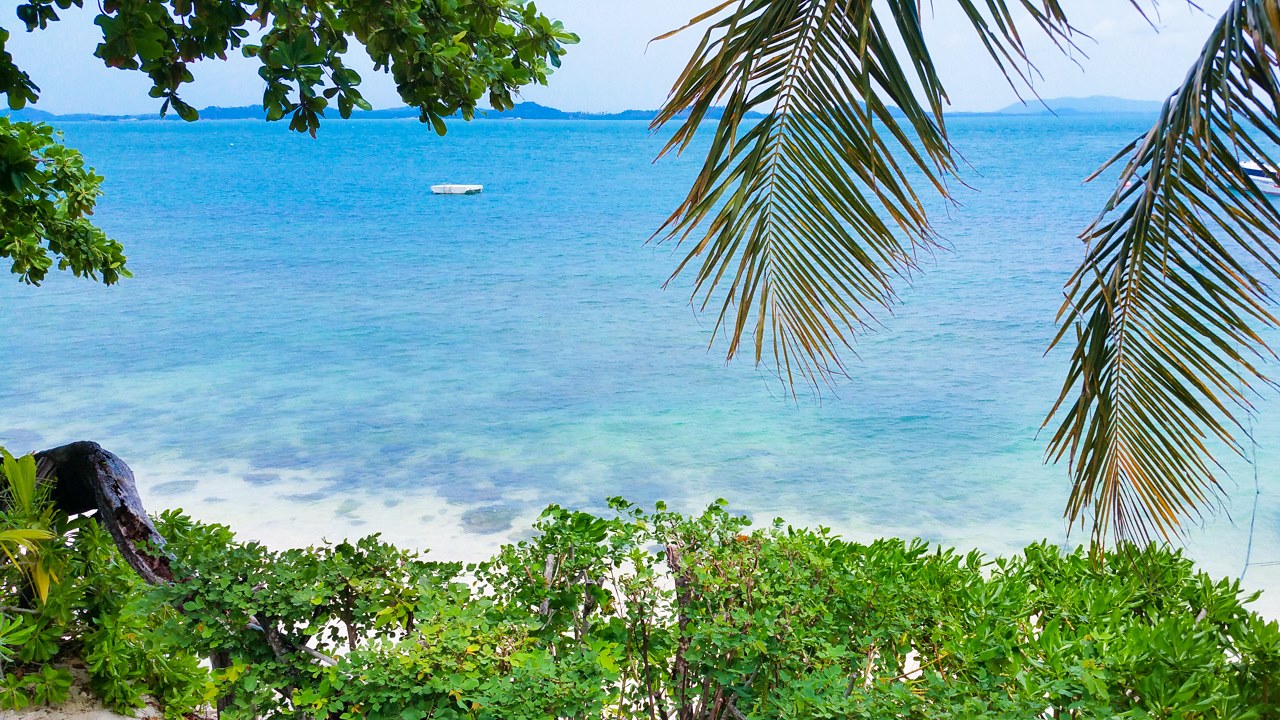 Pangkil Island | LAT.40