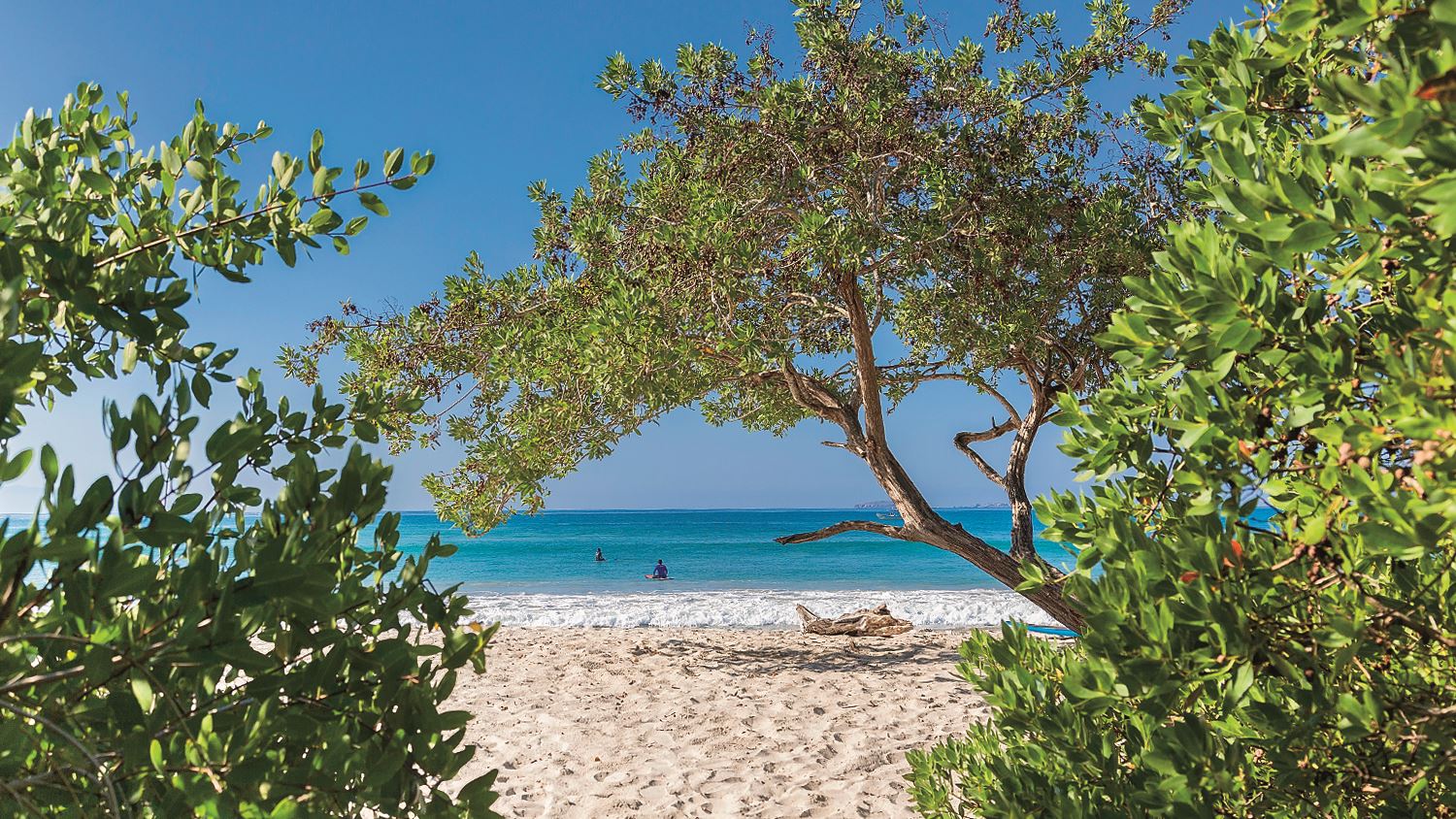 Riviera Nayarit | LAT.40