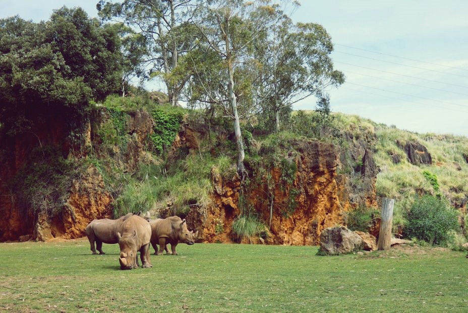 Santillana del Mar | LAT.40