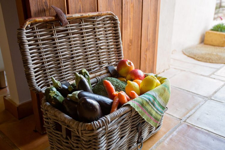 Bajo el Cejo en Spain