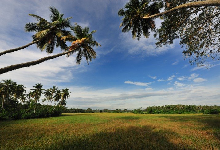 Maya Tangalle en Tangalle