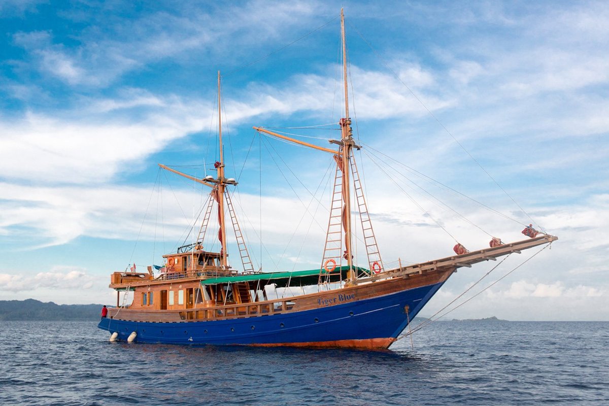 Tiger Blue en su destino