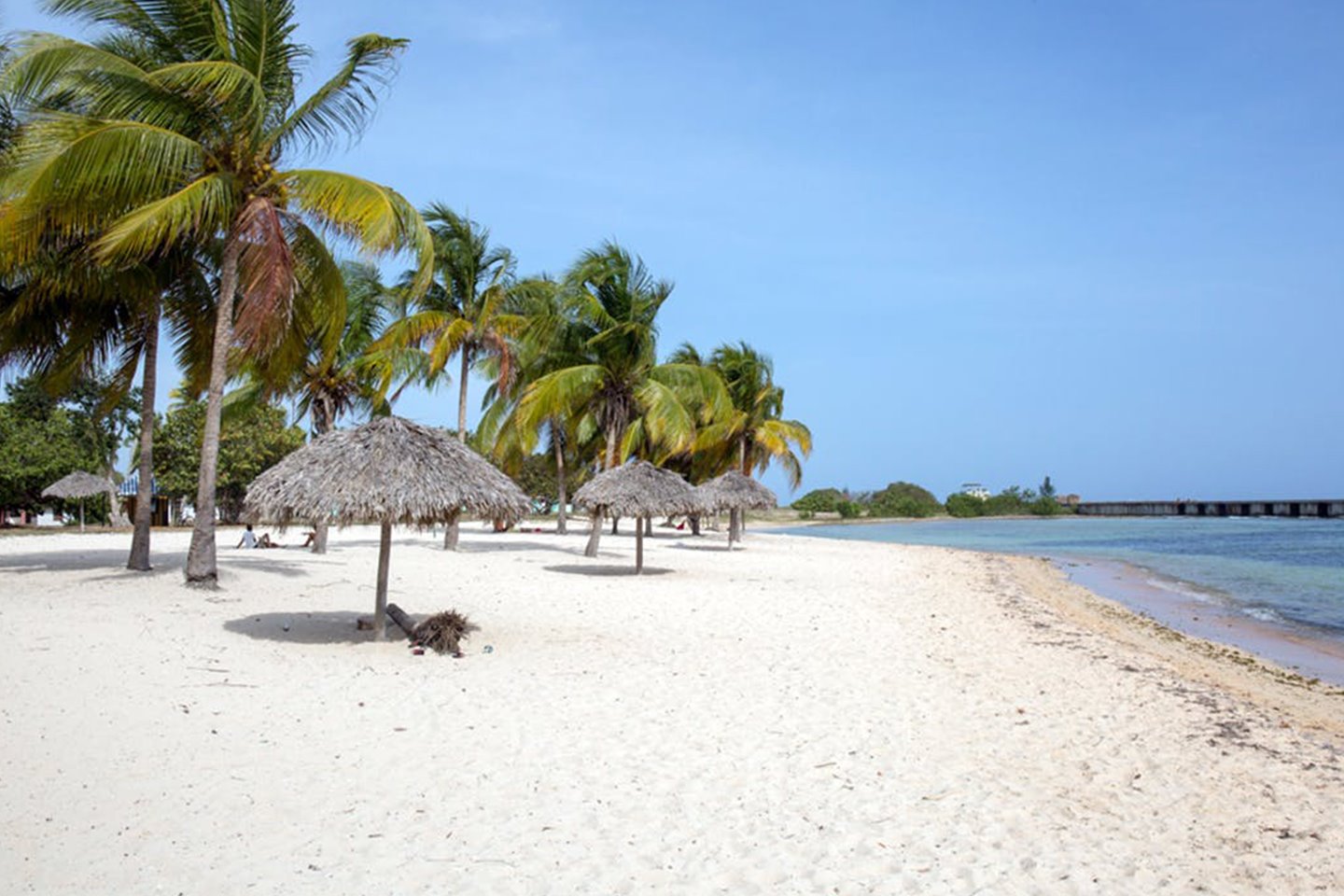 Zihuatanejo | LAT.40