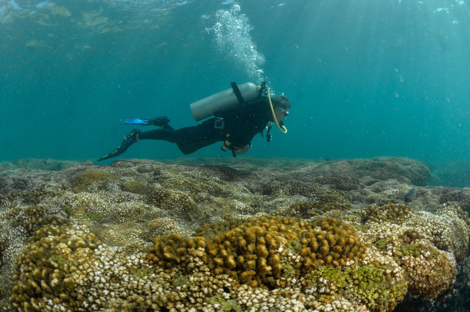 Zihuatanejo | LAT.40