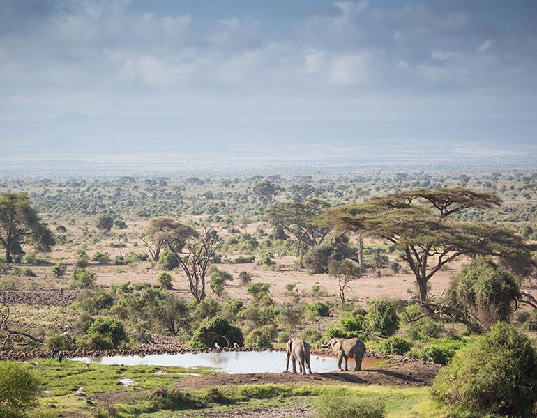Elewana Tortilis Camp en Amboseli
