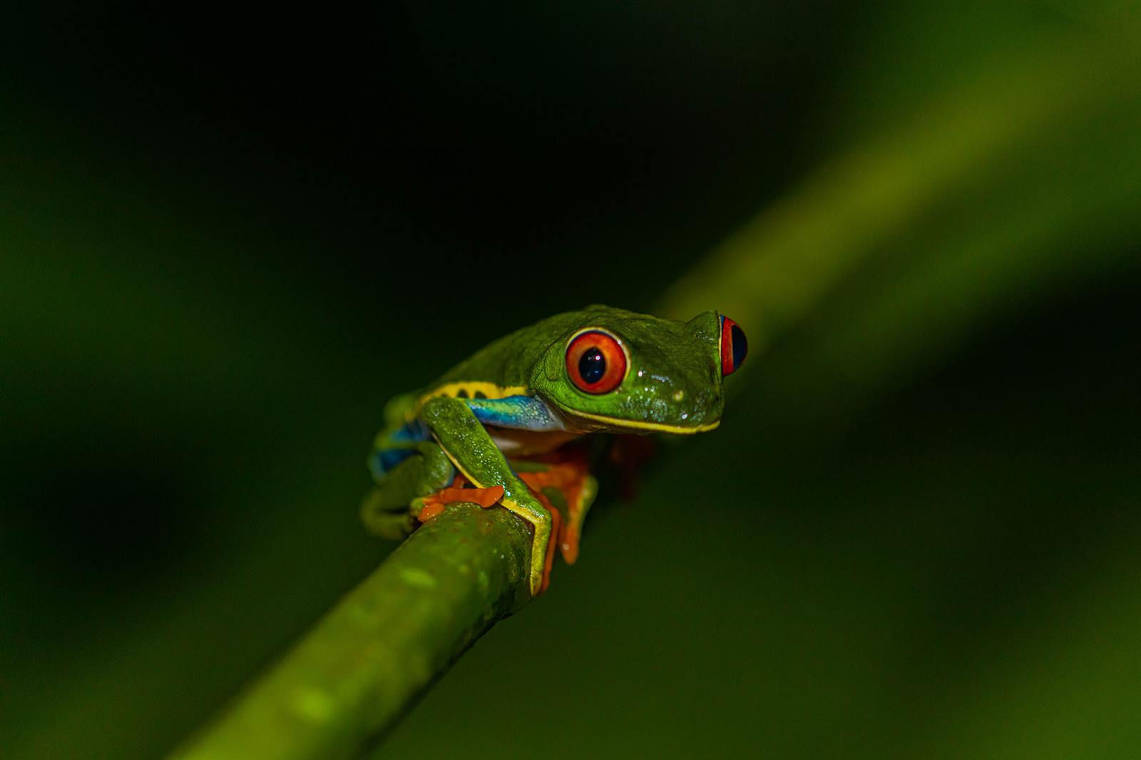 Tifakara Boutique en Arenal