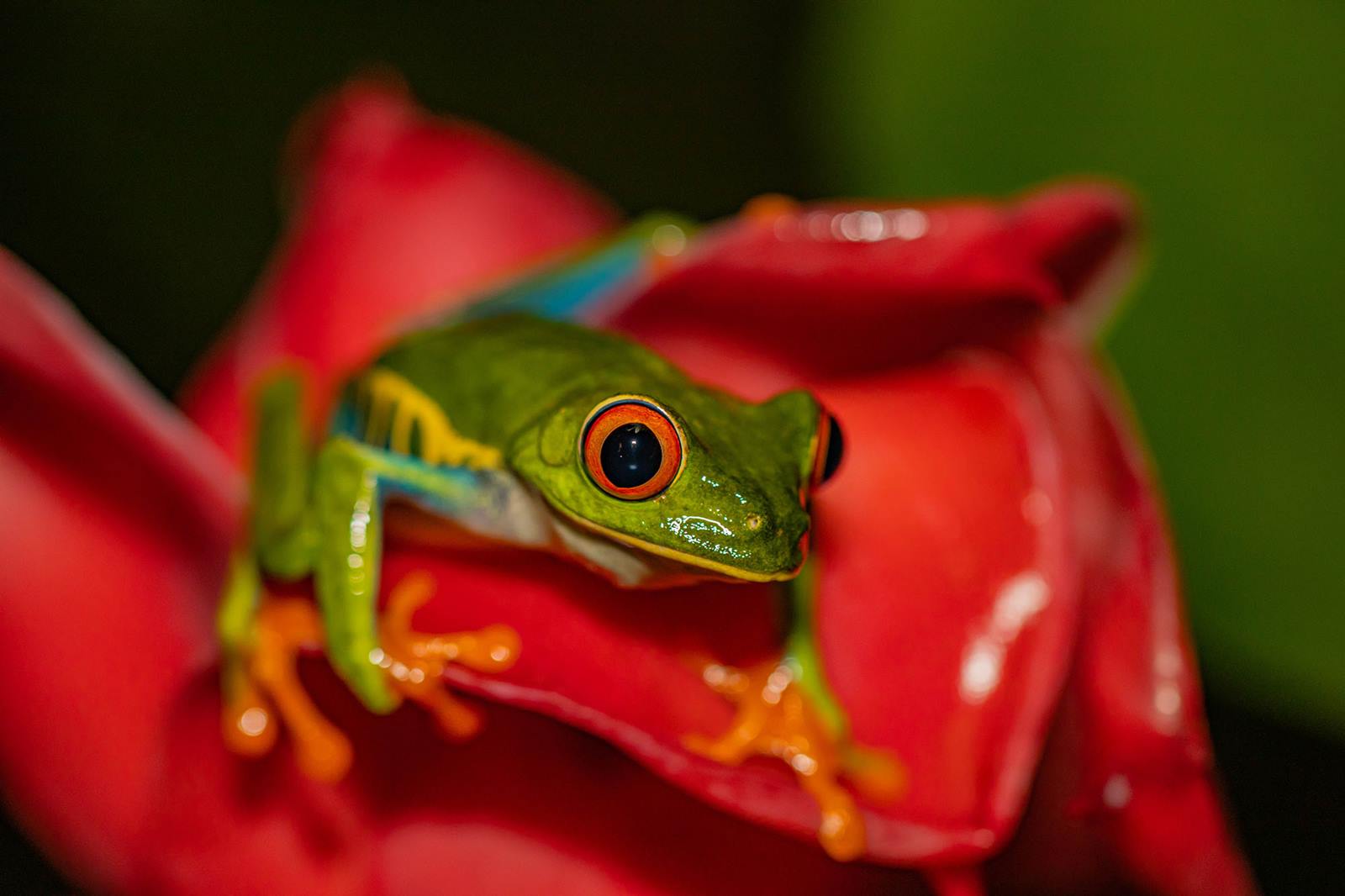 Tifakara Boutique en Arenal