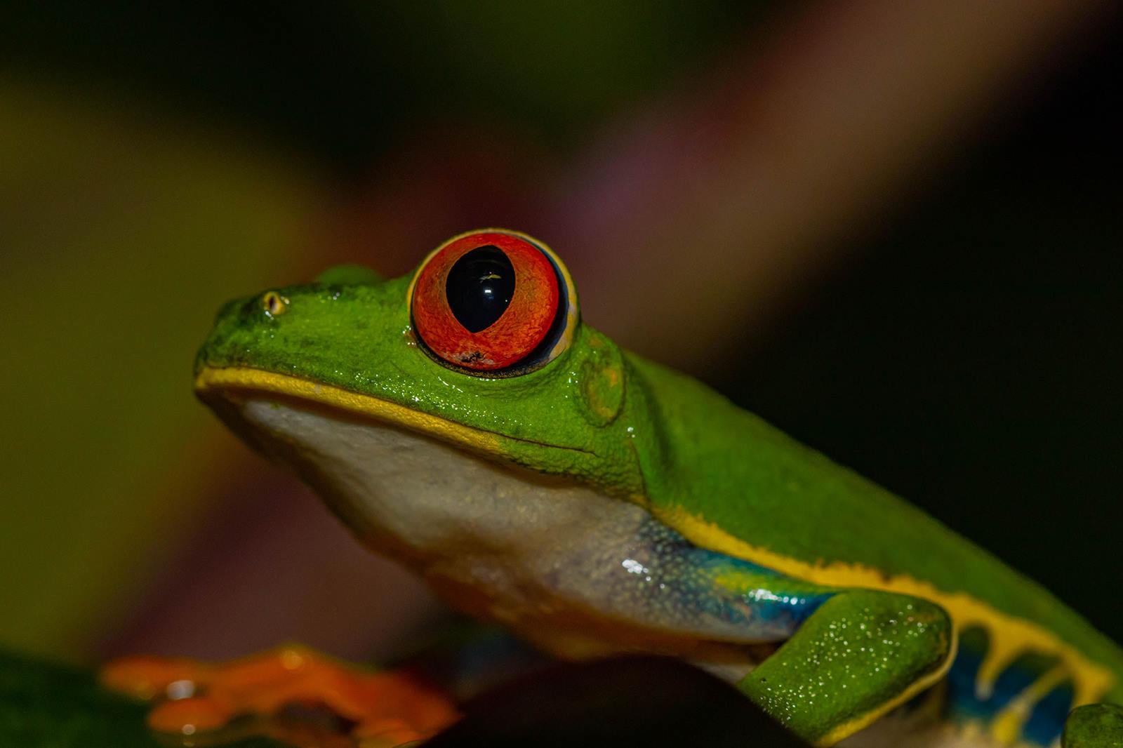 Tifakara Boutique en Arenal