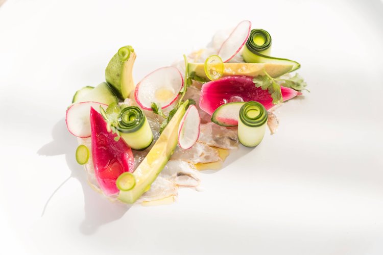 Ser Casasandra en Holbox