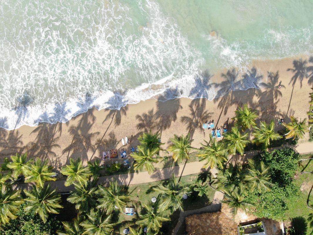 El Mosquito Boutique Hotel en su destino