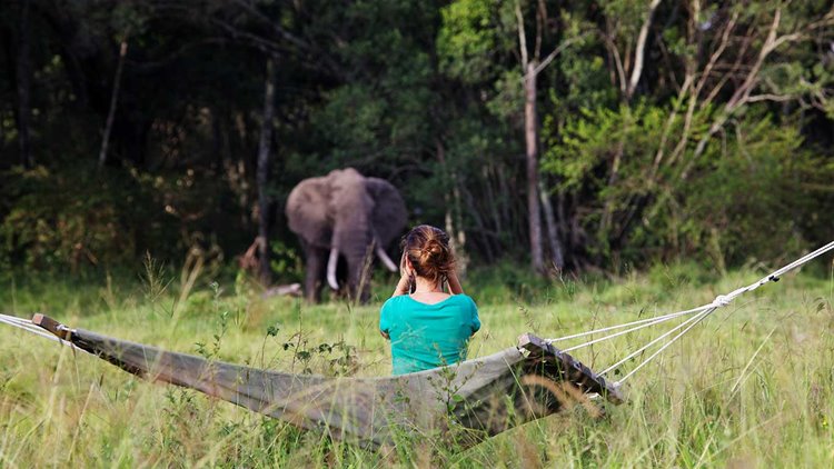 Elephant Pepper Camp by Elewana en Masai Mara