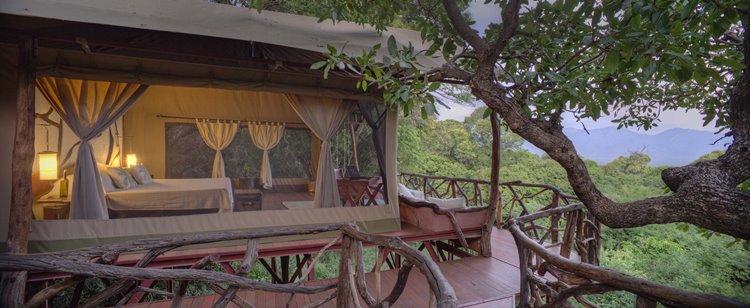 Sarara Treehouses en su destino