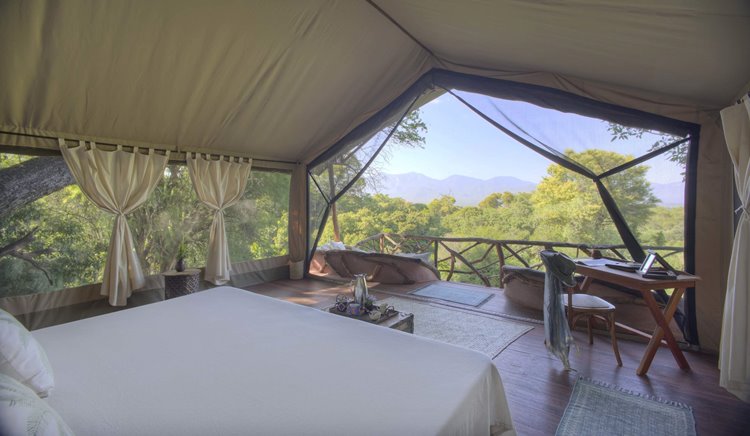 Sarara Treehouses en Namunyak Wildlife Conservancy